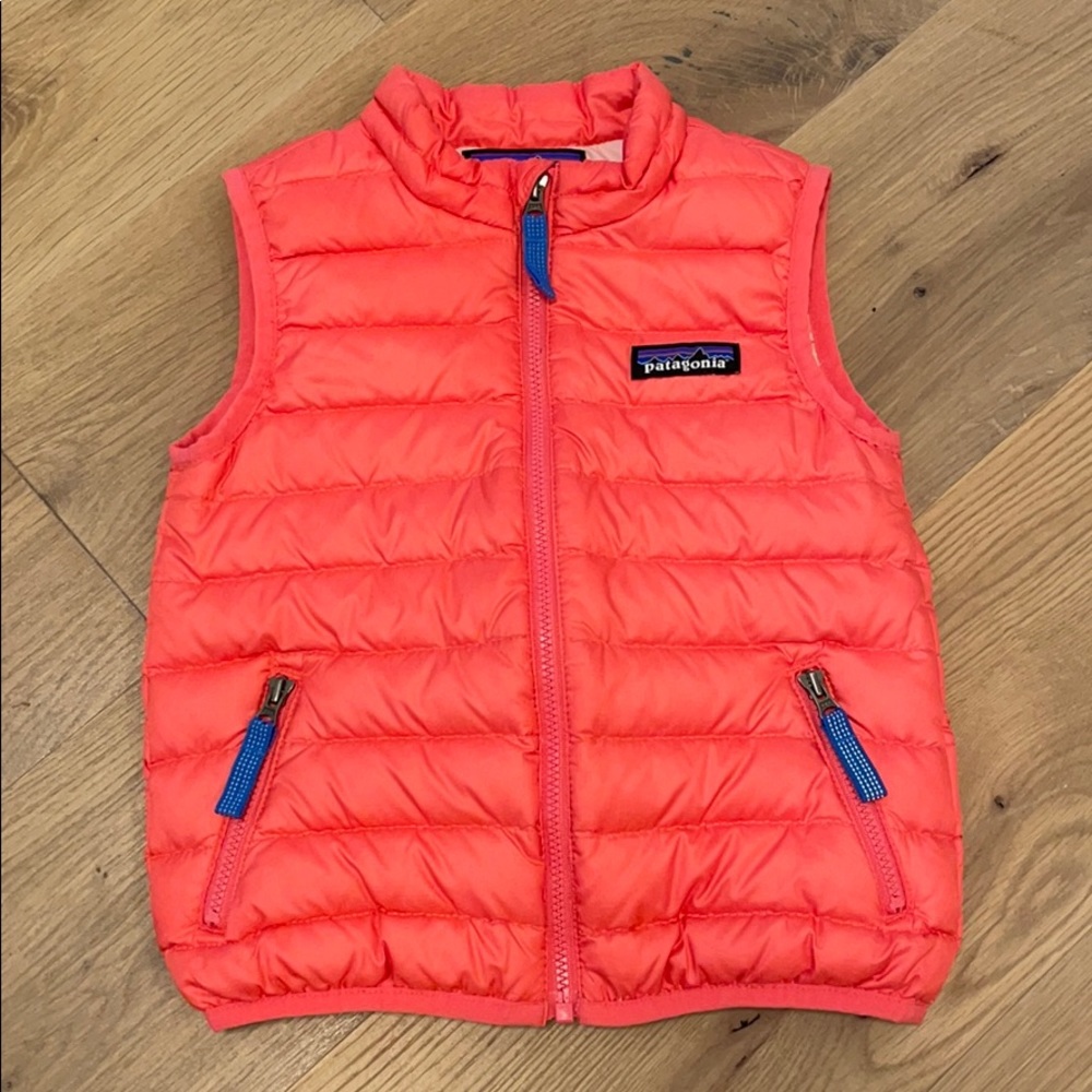 Patagonia down sweater vest